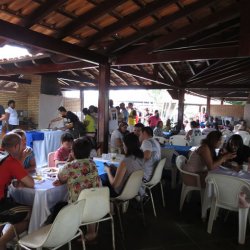 campeonato futebol principal 2013 59
